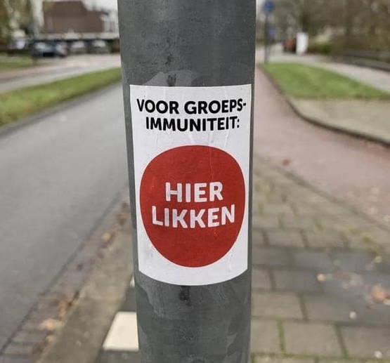 Pardon? Pardon?